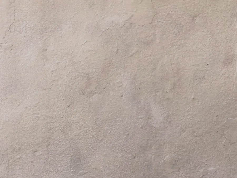 Limewashed plaster wall swatch in warm beige